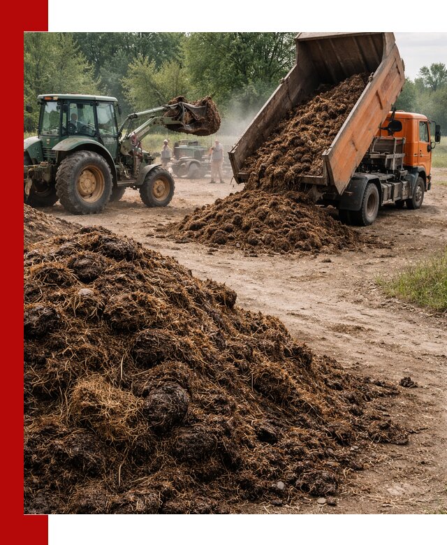 Доставка навоза самосвалами в Уссурийске для сельхозпотребностей